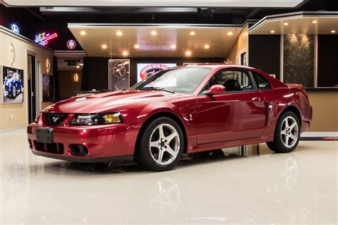 2003 ford mustang cobra terminator for sale